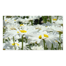 Erinnerung kardiert Verabredungs-Gänseblümchen-Blu Visitenkarte