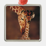 Erwachsene Giraffe mit Kalb (Giraffa camelopardali Ornament