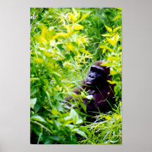 Es ist sonderbar, ein großer Affe zu sein Poster