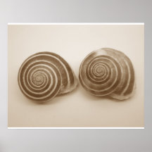 Escargots Poster
