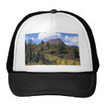 Espen, Colorado Rockies Kultkappe