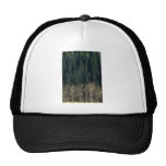 Espen und gezierter Wald, Schafe River Valley, Alb Baseball Caps