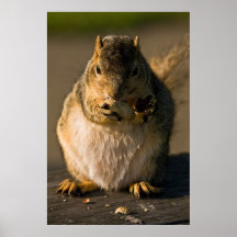 Essen mit einer Tatze - Plakat