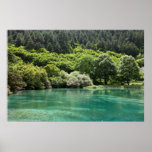 Été en vallée de Jiuzhaigou Affiche
