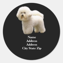 Étiquette de adresse de Bichon Adhésifs Ronds