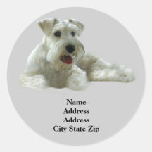 Étiquette de adresse de Schnauzer miniature Adhésifs