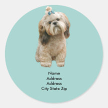 Étiquette de adresse de Shih Tzu Adhésif Rond