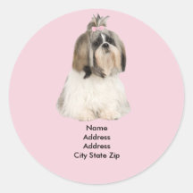 Étiquette de adresse de Shih Tzu Autocollants