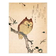 Eule und Magnolie - Kobushi Ni mimizuku Postkarten