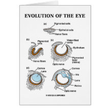 Evolution des Auges Grußkarte