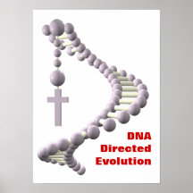 Évolution dirigée par ADN Affiches