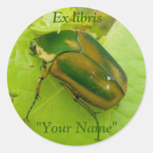 Ex libris grüne Juni-Käfer-Aufkleber