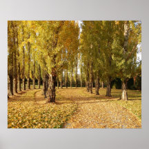 Fall-Bäume Plakat