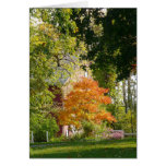 Fall-Schönheit Karte