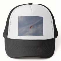 Fallsegelflugzeug