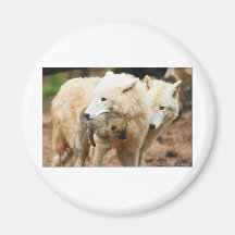 famille de loup sur le mouvement aimants pour réfrigérateur