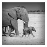 Famille d'éléphants art photographique
