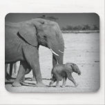 Famille d'éléphants tapis de souris
