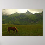 Fantastische die Schweiz-Alpen Plakat oder Leinwan