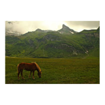 Fantastische die Schweiz-Alpen Plakat oder Leinwan poster