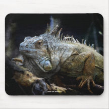 Faune Mousepad de reptile de lézard d'iguane Tapis De Souris