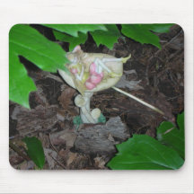fée et champignon tapis de souris