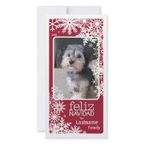 Feliz Navidad - lassen Sie es schneien!
