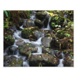 Felsen entlang dem Lewis-Fluss Photo Druck