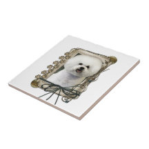 Fête des pères - pattes en pierre - Bichon Frise Carreau