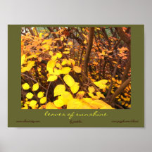Feuille d'affiche de soleil