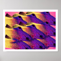 'Fische 6,2' Poster