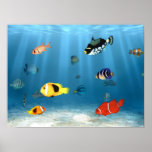 Fische im Ozean Plakat