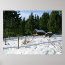 Fish See Remount Depot-Kabine im Schnee, Holz