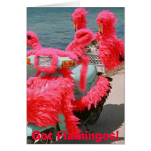 Flamants obtenus ! , carte de vœux