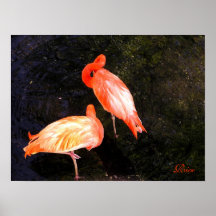 Flamingo-Plakat