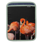 Flamingovogel Sleeve Für iPads