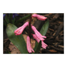Fleur 2 tirage photo