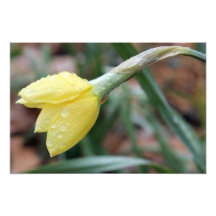 Fleur 3 photographie d’art