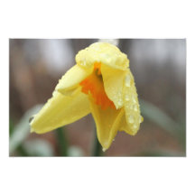 Fleur 4 photo sur toile