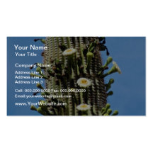 fleur blanche et cactus fructifère de saguaro, Son Modèles De Cartes De Visite