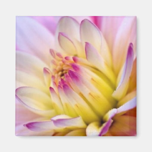 Fleur de déploiement - aimant