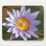 Fleur de Lotus/nénuphar Tapis De Souris