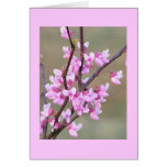 Fleur de Redbud Carte De Vœux