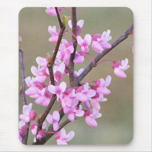 Fleur de Redbud Tapis De Souris