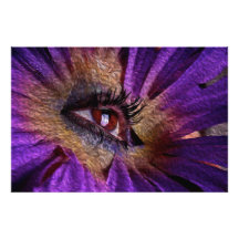 Fleur d'oeil photos d’art