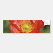 Fleur et signification de pavot autocollant pour voiture