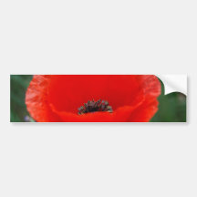 Fleur et signification de pavot autocollant pour voiture