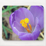 Fleur pourpre tapis de souris