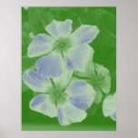 Fleurs au néon posters