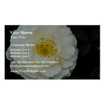 Fleurs blanches de damassé modèle de carte de visite